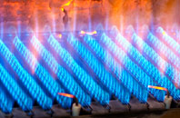 Caunsall gas fired boilers